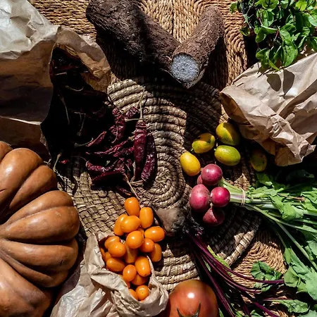 Royal Hideaway Corales - Adults Only Hotel